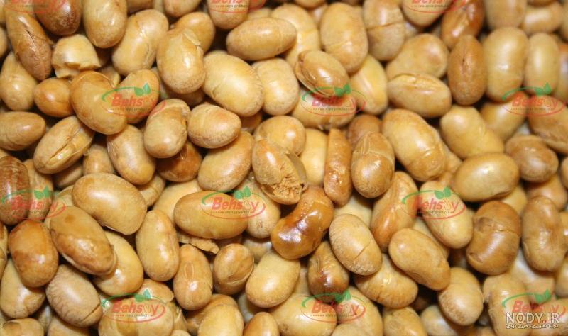 خرید جدیدترین انواع سویا آجیلی از معتبرترین برندهای دنیا - آراد ...