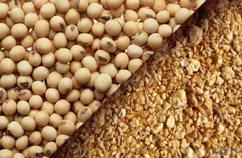 خرید و قیمت سویا آجیلی ترد و خوشمزه 400 گرمی فرهمند