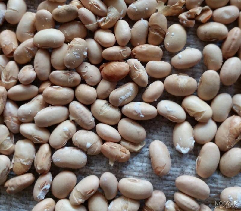 خرید و قیمت سویا آجیلی دو اتیشه (شور) (5کیلو ) از غرفه صنایع دستی ...