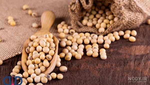 سویا آجیلی از خواص و مضرات تا قیمت و فواید برای مردان و زنان + طبع ...