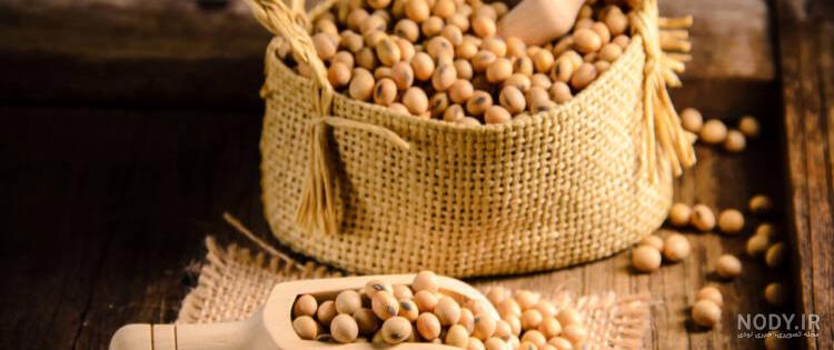 سویا آجیلی از خواص و مضرات تا قیمت و فواید برای مردان و زنان + طبع ...