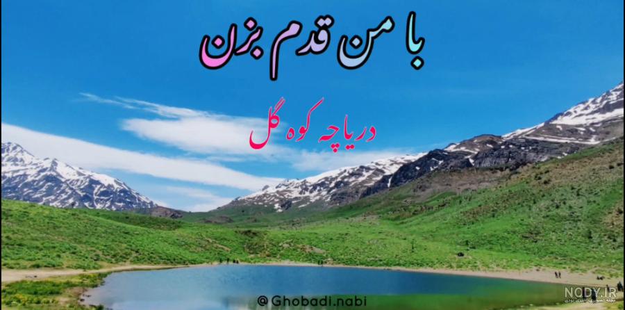 فرشته های زیبایی که در دریا زندگی می کنند! فرشته های زیبایی که در دریا زندگی می کنند!