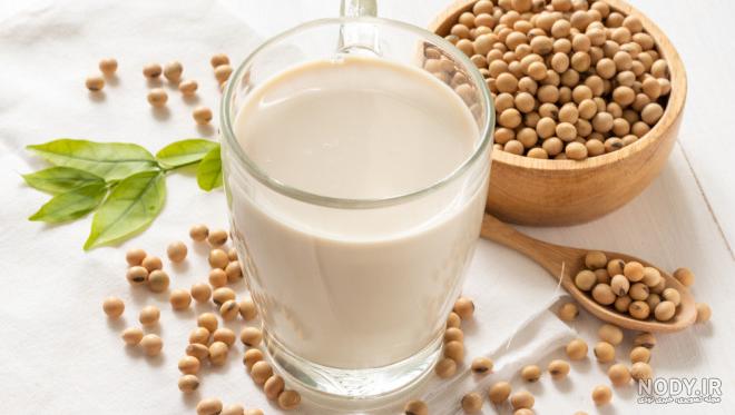 قیمت و خرید سویا آجیلی نمکی هیرشا - 400 گرم