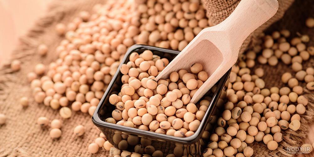 همه چیز درباره سویا آجیلی: غذای ورزشکاران حرفه ای | بارجیل