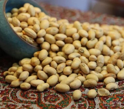 همه چیز درباره سویا آجیلی: غذای ورزشکاران حرفه ای | بارجیل
