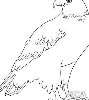 عکس نقاشی پسرانه عقاب عکس نقاشی پسرانه عقاب