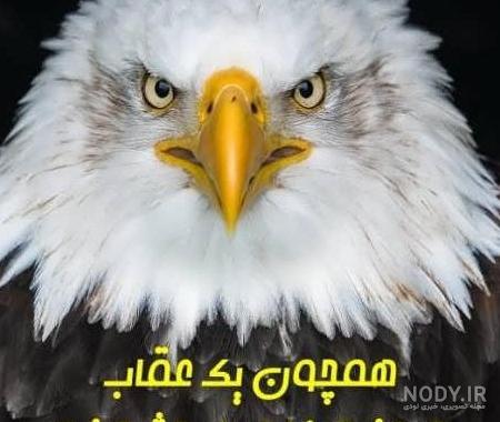 عکس نقاشی پسرانه عقاب عکس نقاشی پسرانه عقاب