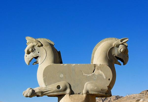 دال سیاه دال سیاه