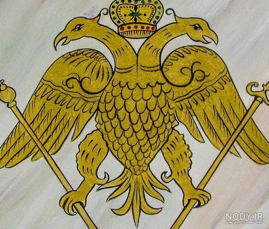دال سیاه بخاطر شباهت زیاد با کرکس ، کرکس سیاه معروف شد + عکس دال سیاه بخاطر شباهت زیاد با کرکس ، کرکس سیاه معروف شد + عکس
