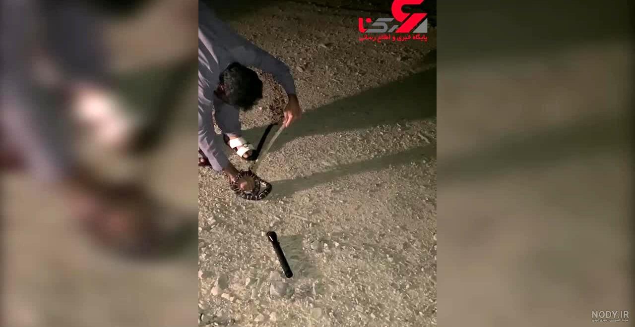 سیاه مار بلوچستان همچنان جولان می‌دهد / «سیه‌مار» ۱۰ برابر ...