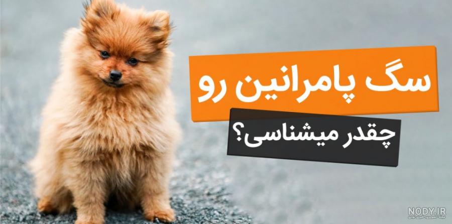 عکس سگ روباهی - عکس نودی