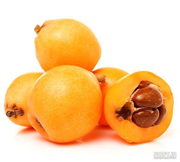 عکس سیاه ریشه