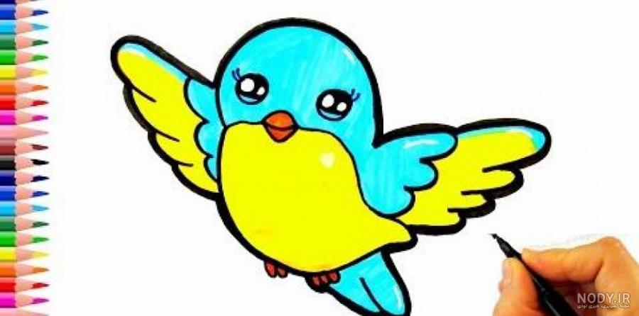 عکس طوطی برای نقاشی ❤️ [ بهترین تصاویر ]