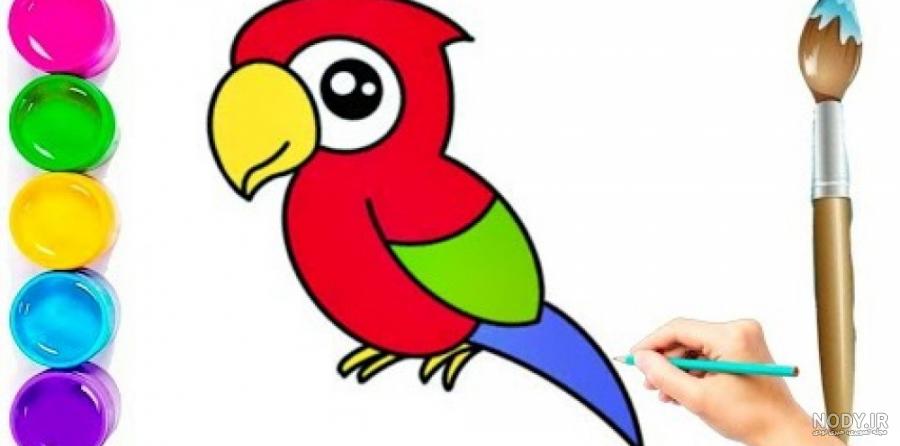 عکس طوطی نقاشی ساده