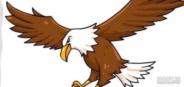 عکس عقاب رنگ شده