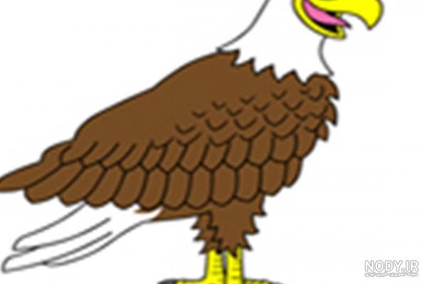 عکس عقاب رنگ شده عکس عقاب رنگ شده