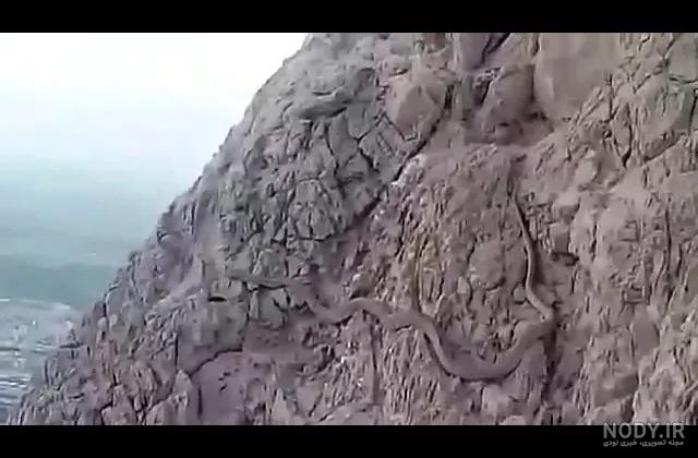 عکس مار کوه صفه اصفهان