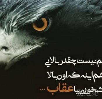 عکس نقاشی ساده عقاب - عکس نودی عکس نقاشی ساده عقاب - عکس نودی