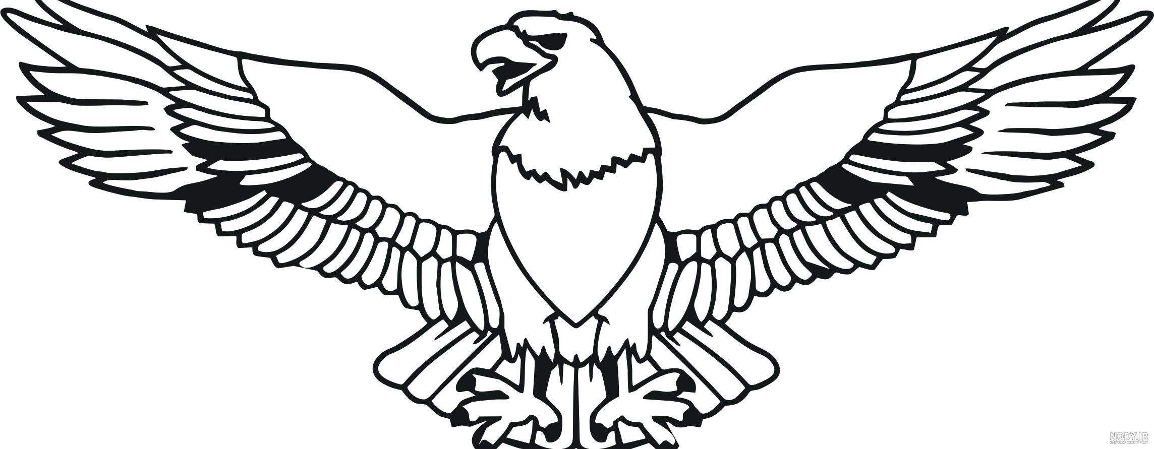 عکس نقاشی طراحی عقاب عکس نقاشی طراحی عقاب