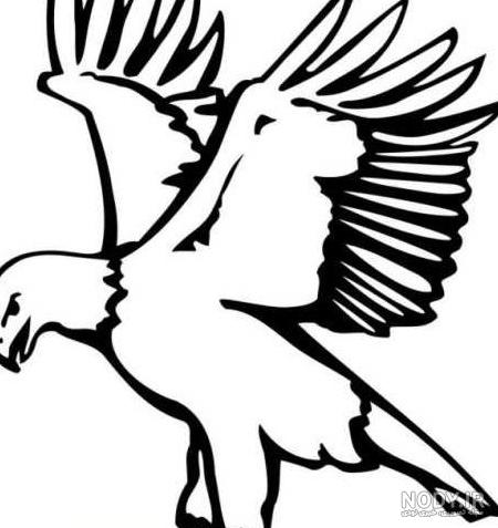 عکس نقاشی عقاب - عکس نودی