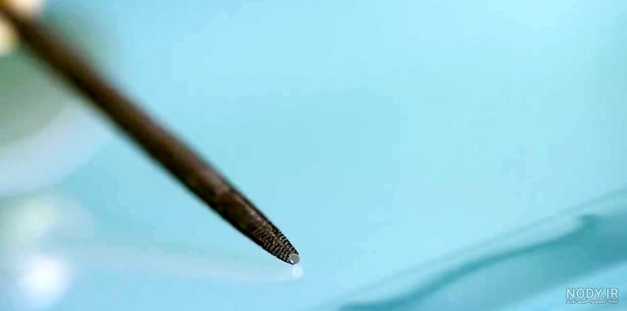 عکس نقاشی پرنده - عکس نودی