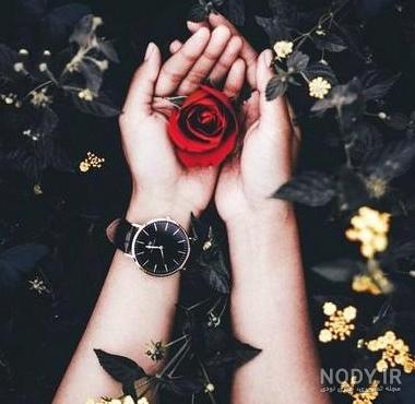 مجموعه عکس دلار سکه ای (جدید) مجموعه عکس دلار سکه ای (جدید)