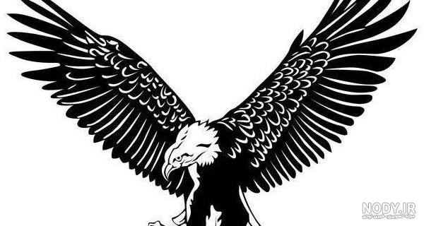 مجموعه لوگو و نمادهای آماده با طرح عقاب (Eagles Logo) بصورت لایه ...
