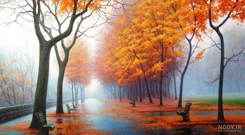 آخرین خبر | عکس/ برگ های خزان زده پاییزی