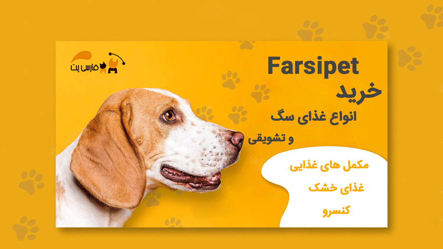 خرید سگ پاگ (فروش با بهترین قیمت) - فارسی پت