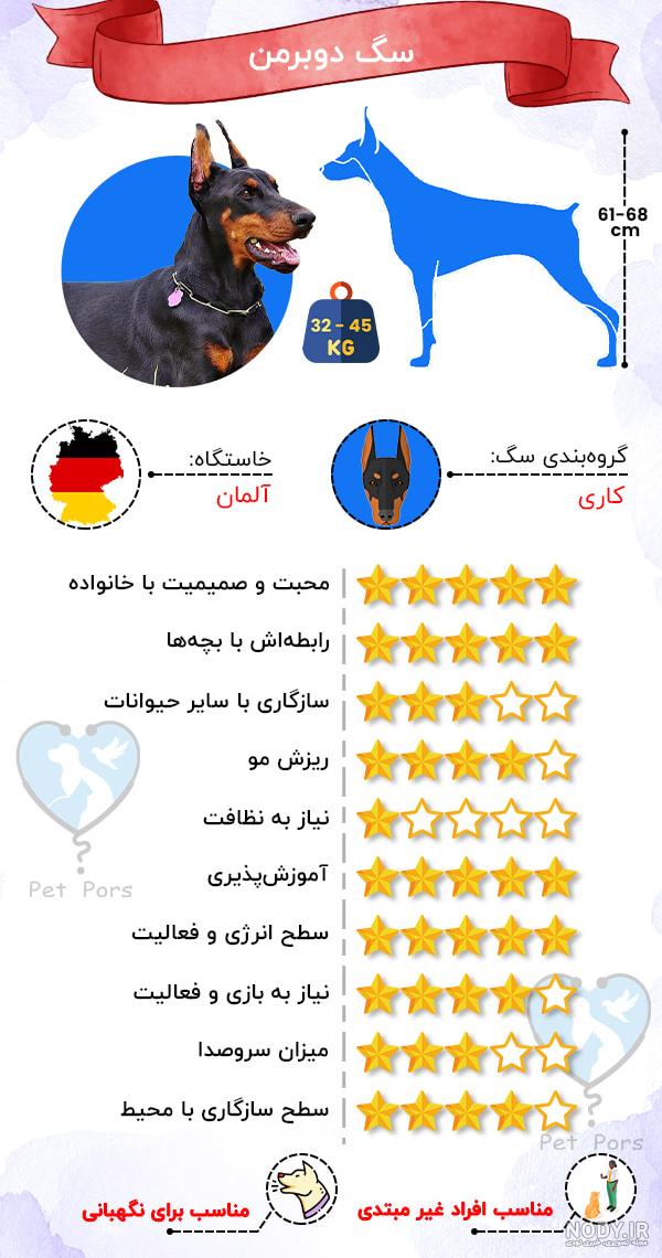 سگ دوبرمن جدیدترین اطلاعات نژاد نگهداری مراقبت آموزش و تربیت دوبی ها