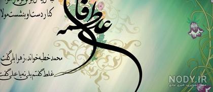 سگهای بامزه و کیوت فنجانی در کره :: تفریح و سرگرمی سگهای بامزه و کیوت فنجانی در کره :: تفریح و سرگرمی