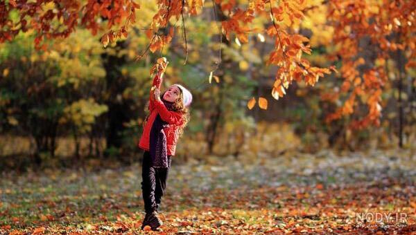عکس های خزان پاییز