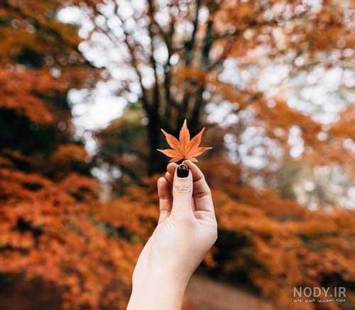 عکس های خزان و یاووز