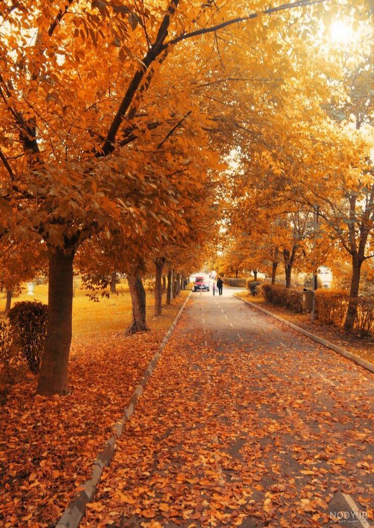عکس های خزانه بانک مرکزی