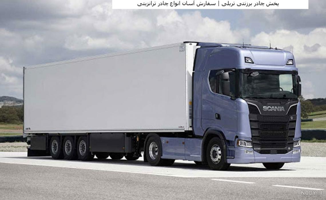 عکس سگ اشپیتز تریر نر - عکس نودی عکس سگ اشپیتز تریر نر - عکس نودی