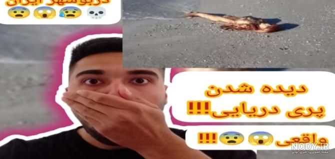 عکس سیب زمینی کن