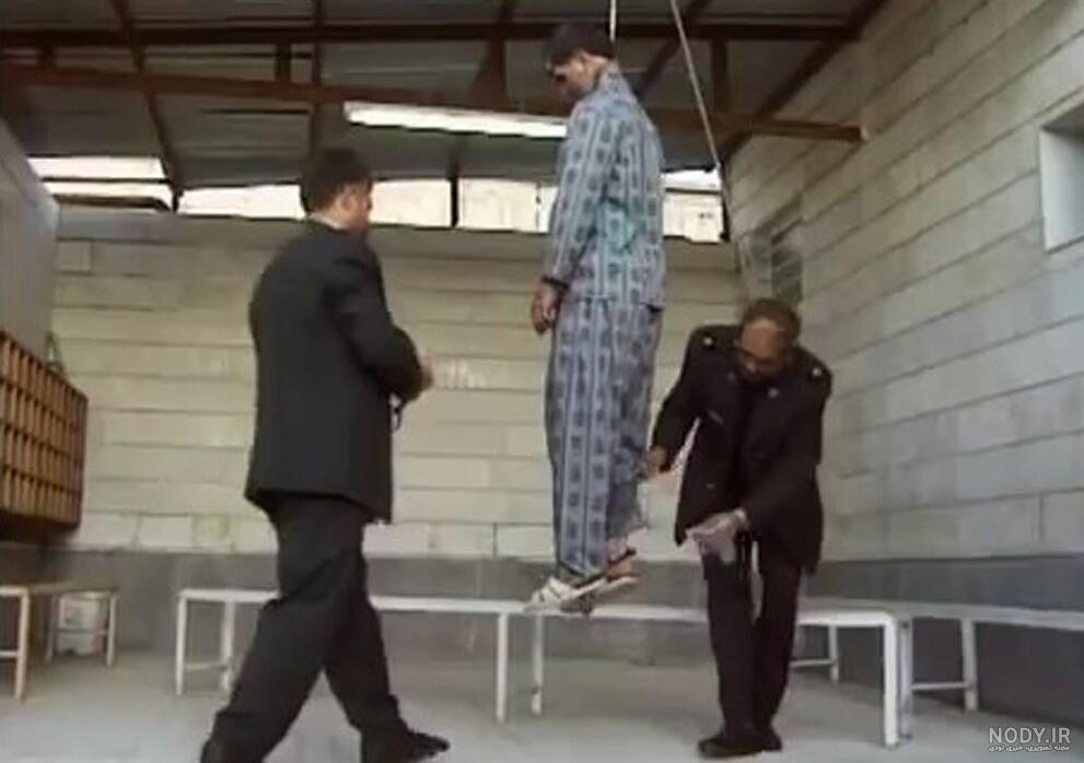 عکس عنکبوت مشهد عکس عنکبوت مشهد