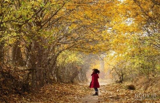 عکس فصل خزان برای پروفایل