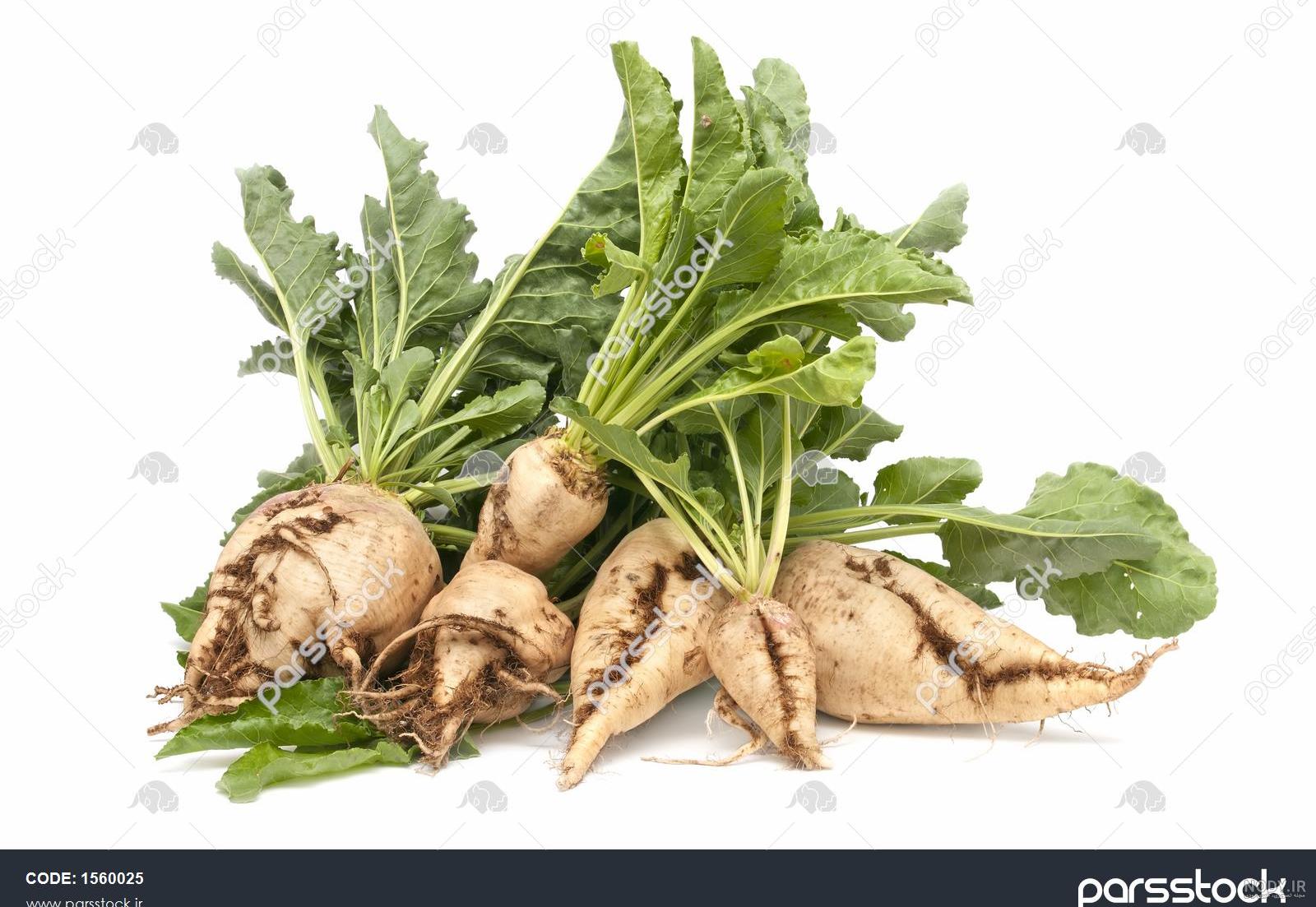 عکس چغندر قرمز - عکس نودی