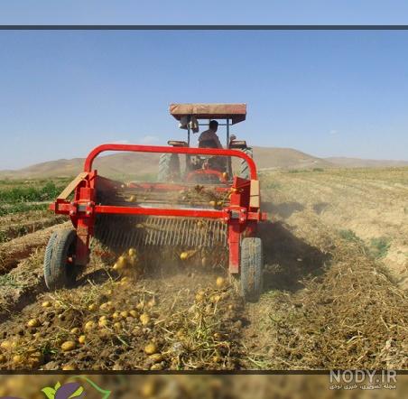 عکس کره بادام زمینی خارجی