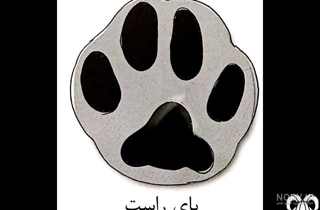 معرفی سیاه گوش کانادایی + فیلم معرفی سیاه گوش کانادایی + فیلم