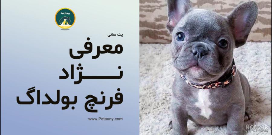 آپارات - سرویس اشتراک ویدیو آپارات - سرویس اشتراک ویدیو