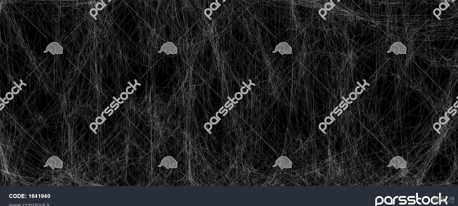 spiderweb عکس با کیفیت spiderweb و وکتور لایه باز spiderweb پارس ... spiderweb عکس با کیفیت spiderweb و وکتور لایه باز spiderweb پارس ...