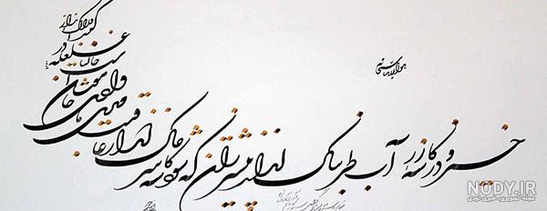 باورنکردنی از عنکبوت های طاووسی (عکس)