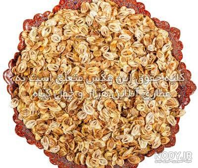 بهترین سیاه دانه کدام است؟ + مقایسه کامل | قیمت عالی - آراد برندینگ بهترین سیاه دانه کدام است؟ + مقایسه کامل | قیمت عالی - آراد برندینگ