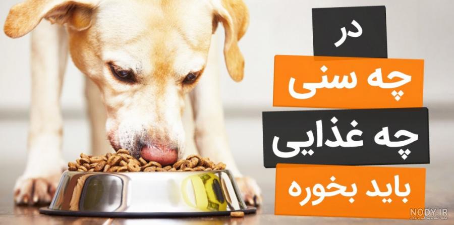 خرید فروش انواع سگ و توله سگ در لاهیجان | دیوار