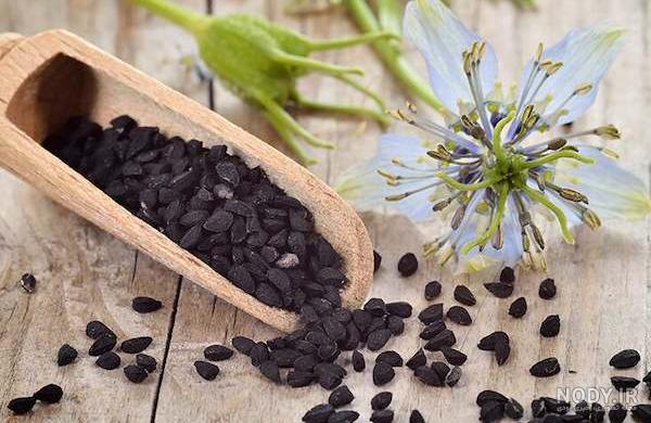 عکس سیاه دانه برای ترشی عکس سیاه دانه برای ترشی