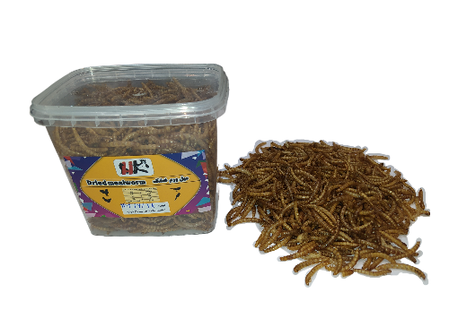 عکس طوطی غذا عکس طوطی غذا