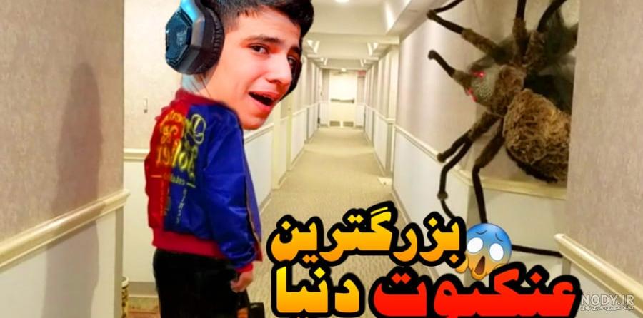 عکس عنکبوت زنده