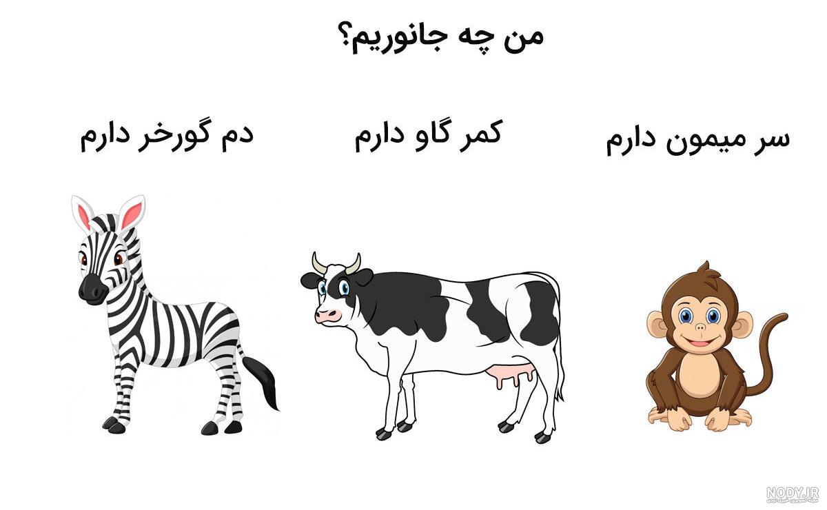 عکس گاو و میمون